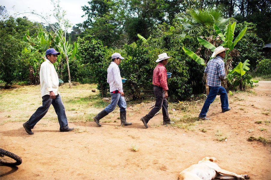 Emiliano and his day laborers return from the fields after harvesting strawberries. 