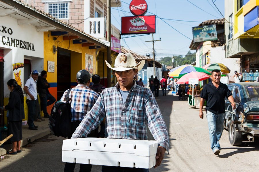Emiliano on his way to deliver strawberries to a customer at a market in La Esperanza