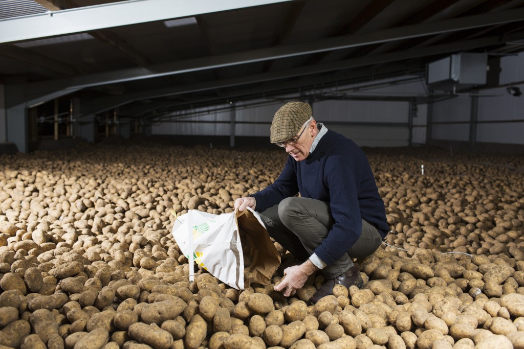 Potato grower Ian Spinks collects a sample of potatoes from a silo at Grove Farm in Langham, Norfolk, England.
