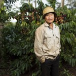 Coffee grower Nguyen Hong Ky on his plantation in Thon 2 near Buon Ma Thuot, Vietnam.