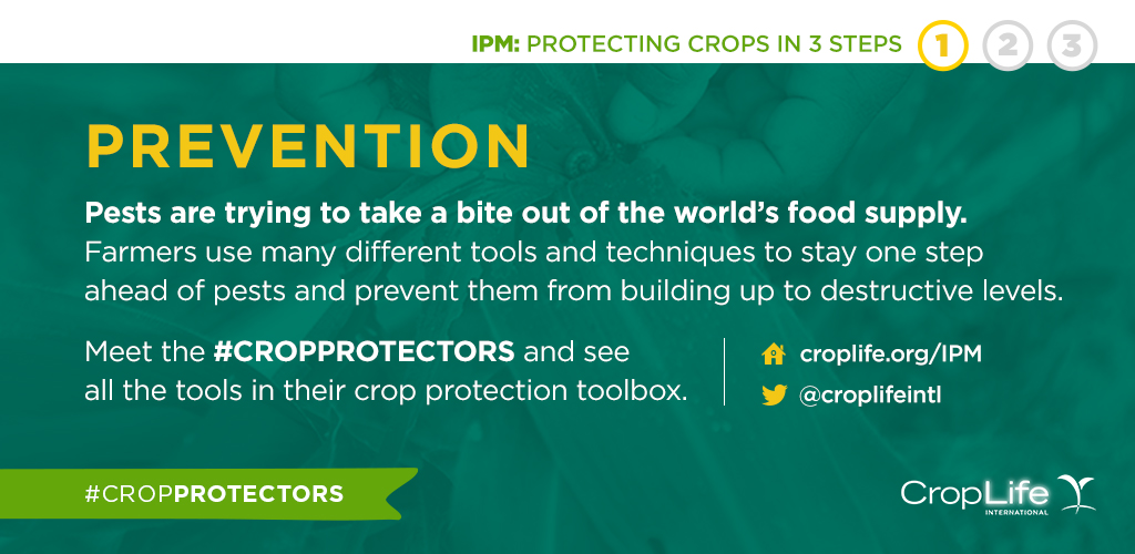 protection-crops-prevention