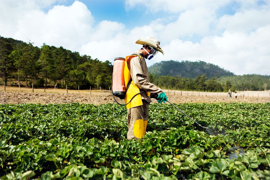 Emiliano, wearing full personal protective clothing, sprays his strawberry crop during a training exercise aimed at helping local farmers make good and responsible use of crop protection products.