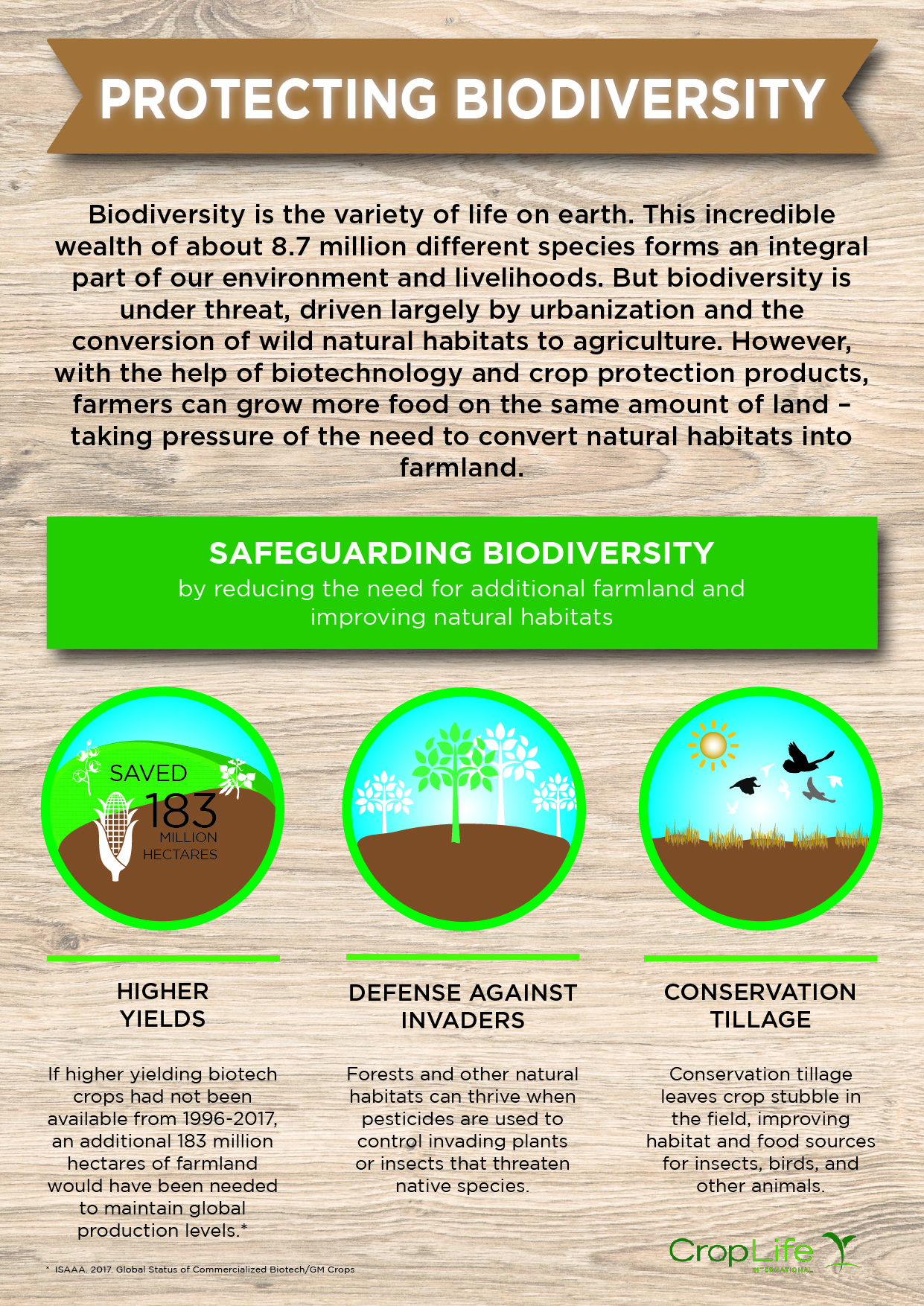 how to save biodiversity essay