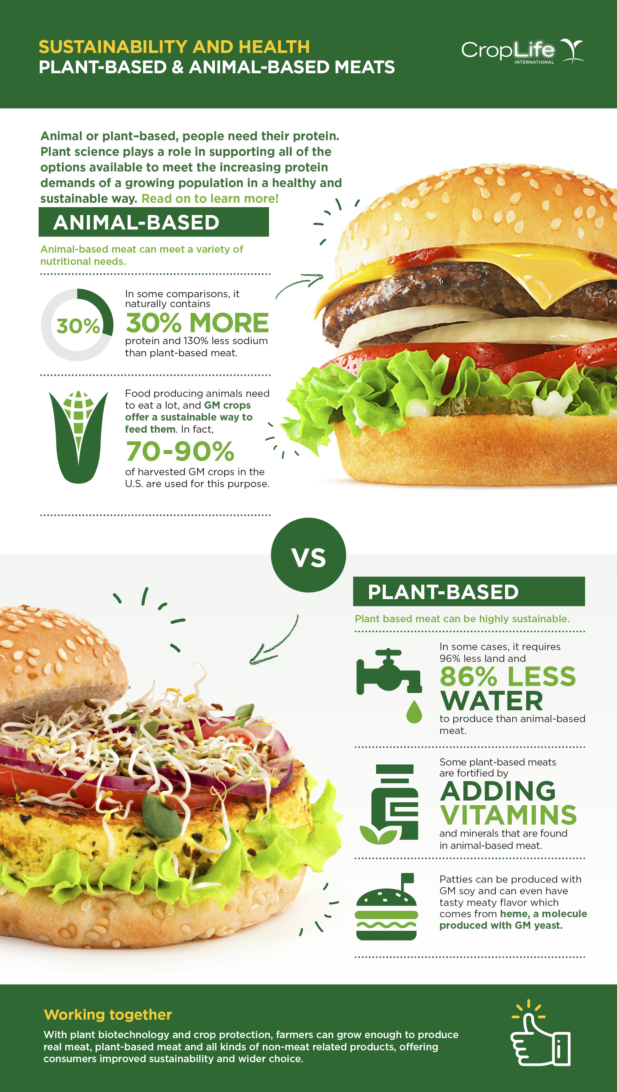 Sustainability and Health: Plant-based & Animal-based Burgers | CropLife  International